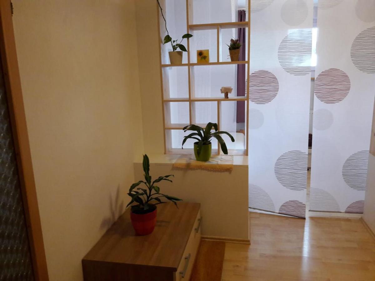 Ferienwohnung Brandstatter Windischgarsten Kültér fotó